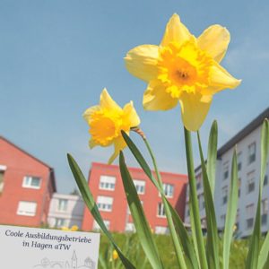 UVH-Hagen-atw-Coole-Ausbildungsbetriebe-Sankt Anna Stift-2